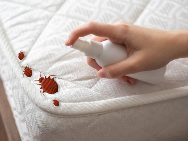 Best Real Estate Pest Inspections  in Whittingham, NJ